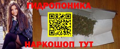 трава Кимры