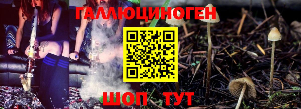 Псилоцибиновые грибы GOLDEN TEACHER  Вход с VPN  Тихвин  Галлюциногенные грибы Psilocybe 