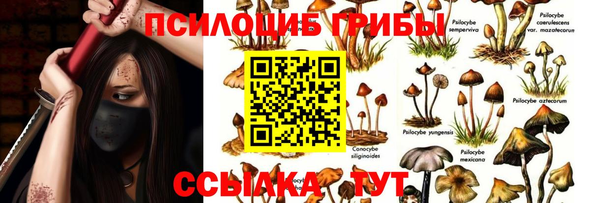 Псилоцибиновые грибы ЛСД Тихвин