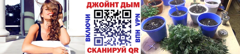 ОМГ ОМГ ссылка  Тихвин  Каннабис индика  где найти  